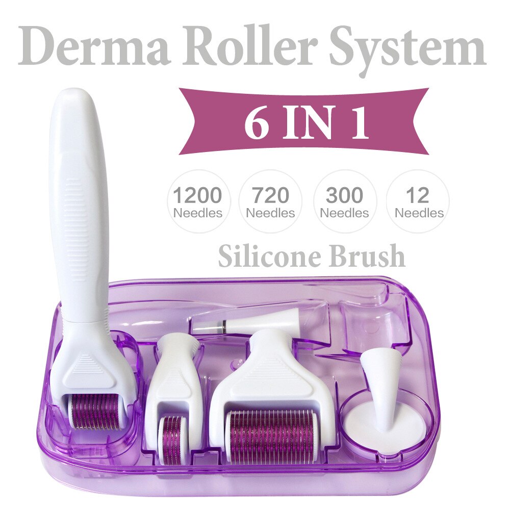 6 in 1 Derma Roller Microneedle Kits For Multiple Skin Care Rejuvenation Treatment Needles Microdermabrasion Rollor